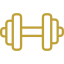 dumbbell-1.png